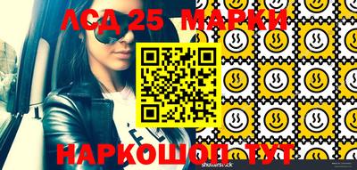 гидропоника Анапа